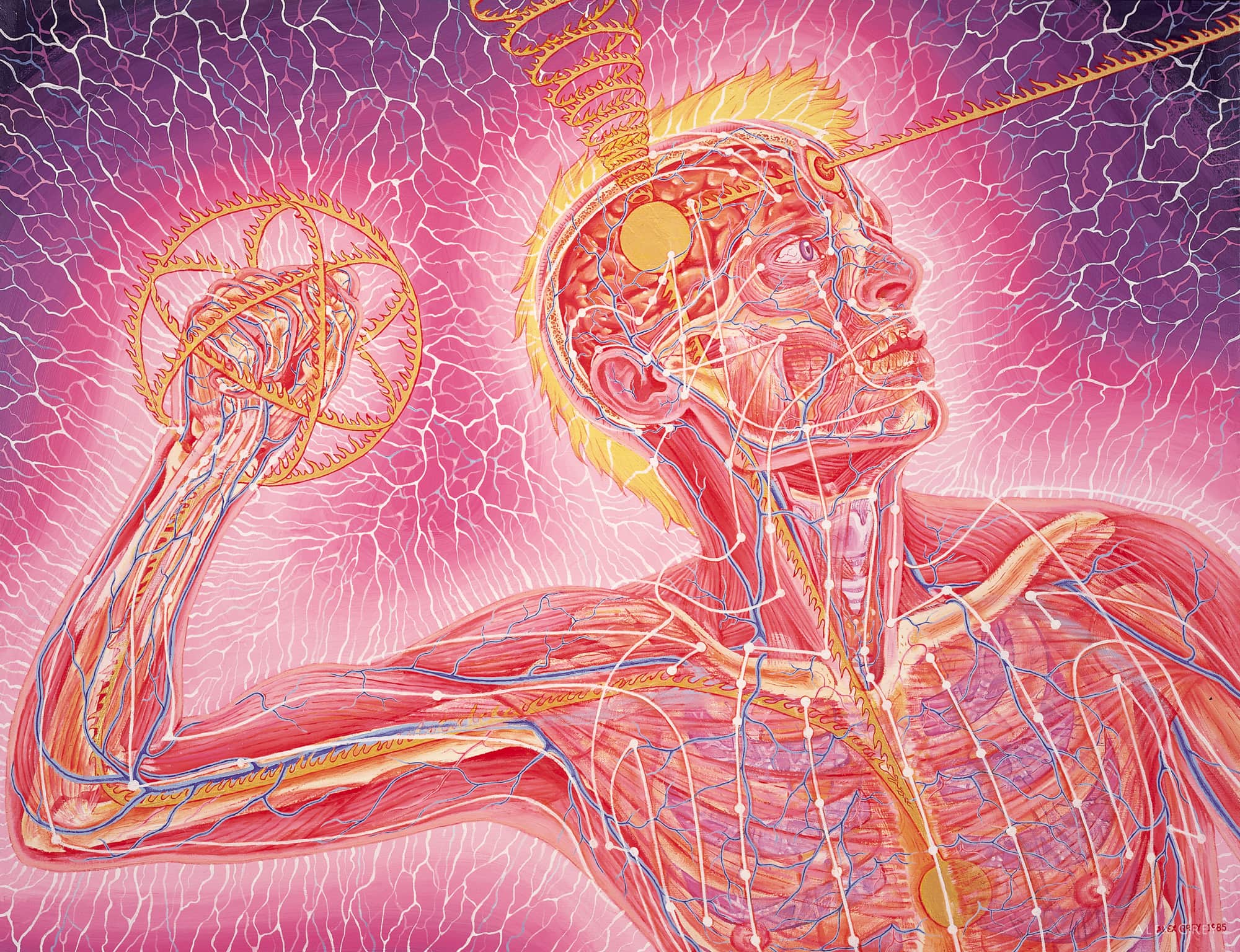 Alex grey картины