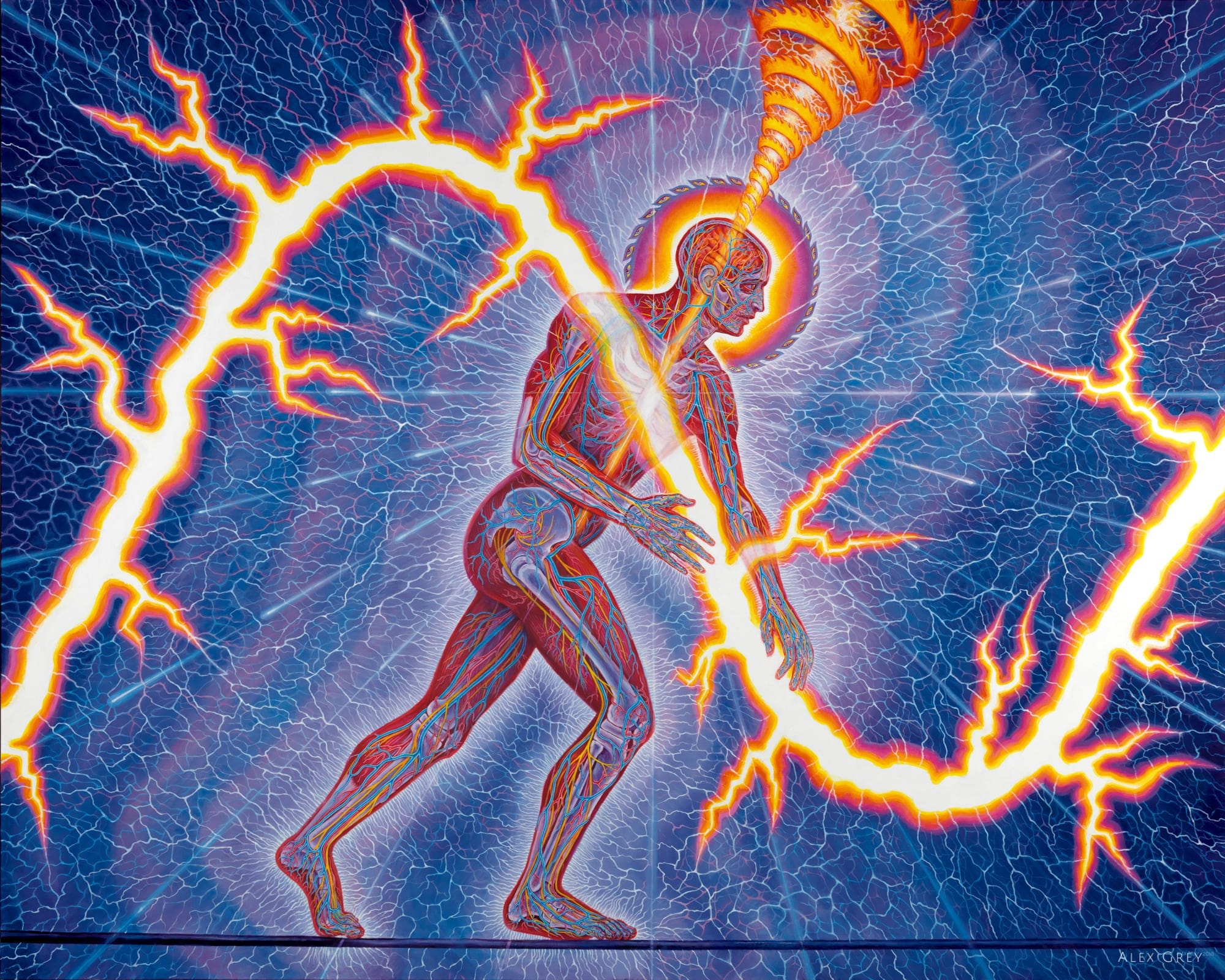 Body/Mind as a Vibratory Field of Energy by Alex Grey