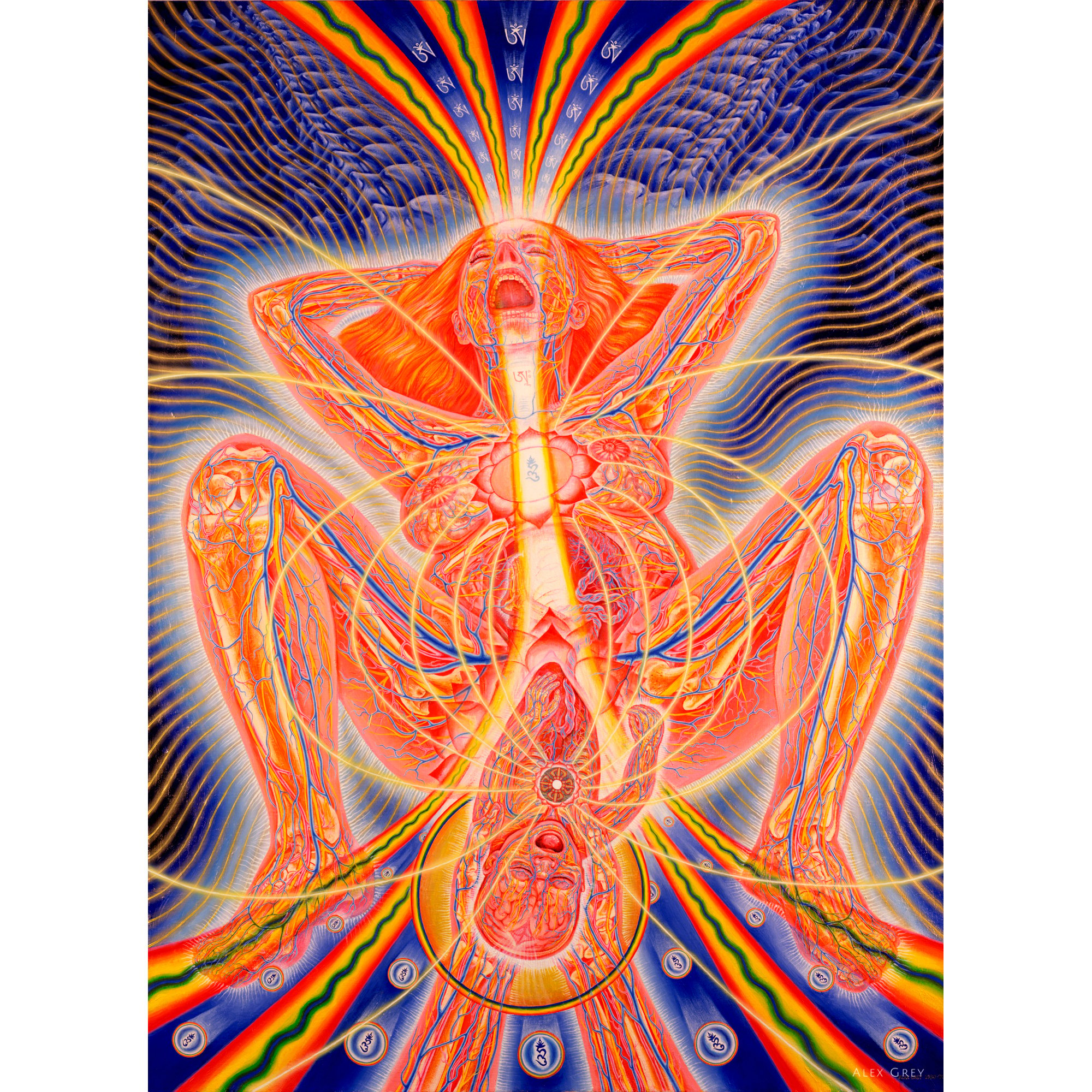 Alex Grey Pictures